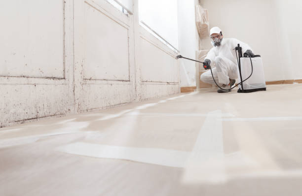 24/7 Emergency Mold Cleanup experts in Camp Hill, PA